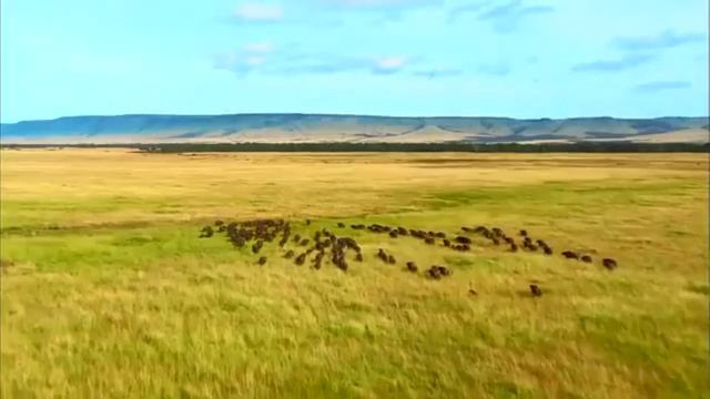 Занимательная географическая веб-игра 