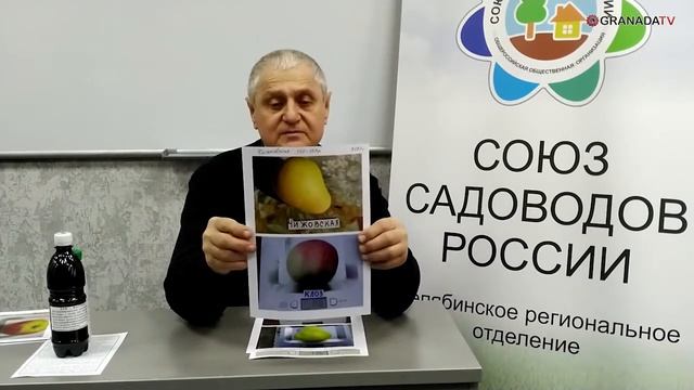 Какие сорта яблони и груши посадить на Южном Урале смотреть онлайн