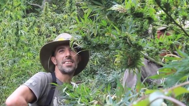 Strain Hunters Swaziland - Backstage 01 day 7.m4v смотреть онлайн