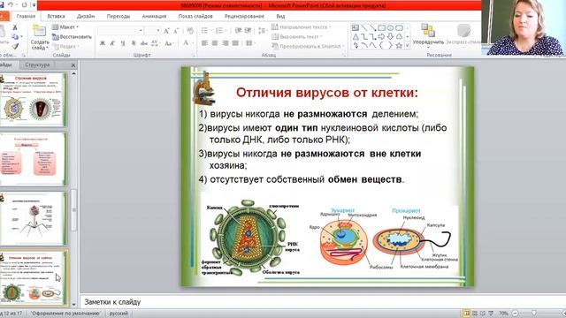 Биология ОГЭ. Вирусы