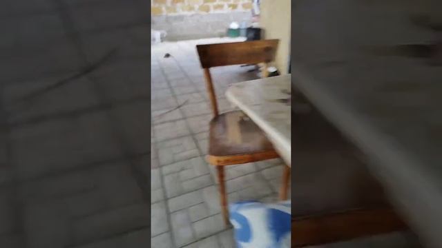 Как сделать баскетбольное кольцо глазами 4-ех летнего ребенка смотреть онлайн
