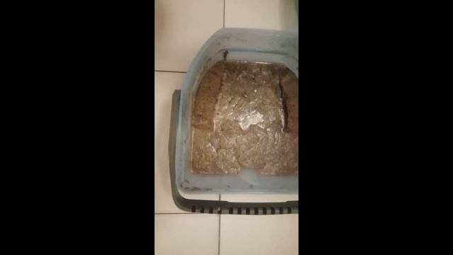 Karcher DS6 Premium Mediclean смотреть онлайн