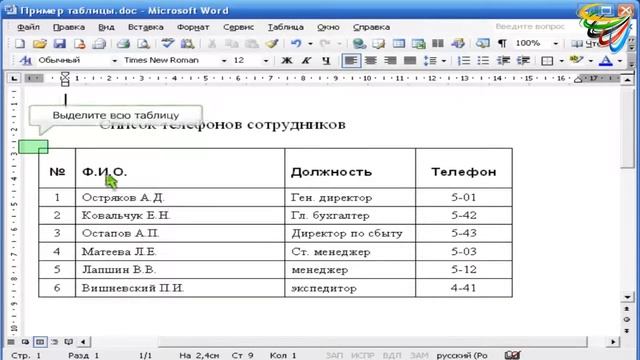 62 Форматирование таблицы в Word смотреть онлайн