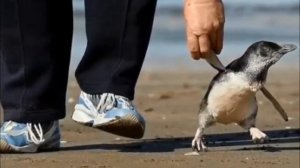 Твори Добро. Добрые Поступки. Хорошие дела