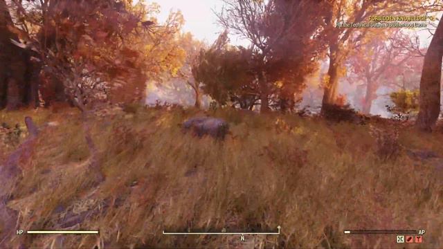 The Little Things Of Fallout 76: Episode 2: Healing Salve (Forest) смотреть онлайн