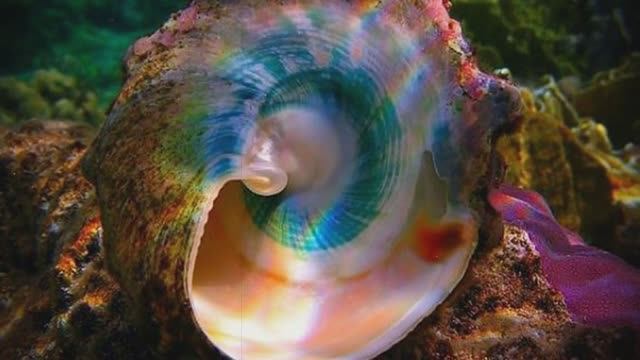 Необычные покушения на политиков: самые изощренные орудия убийства смотреть онлайн