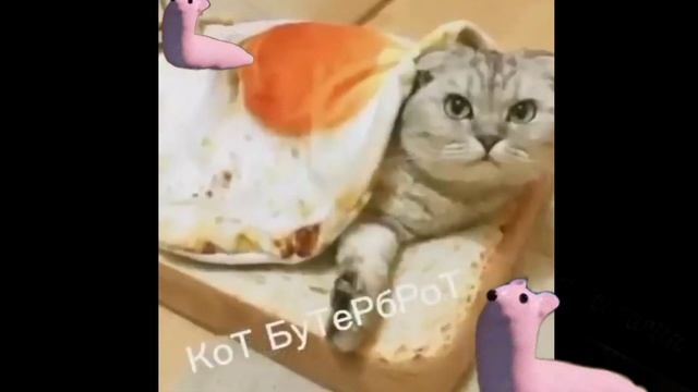 мышка сосиска крыска ириска кот бутерброд, но наоборот смотреть онлайн