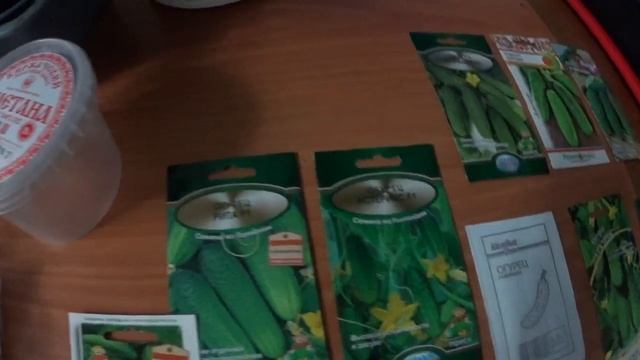 Обзор семян огурцов и замачивание для высадки рассады в теплицу смотреть онлайн