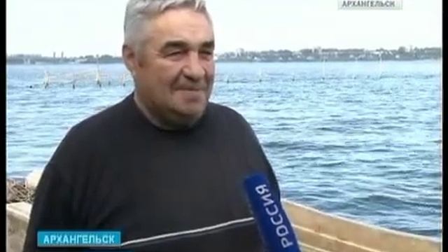 Браконьеры вытесняют сёмгу с Северной Двины смотреть онлайн