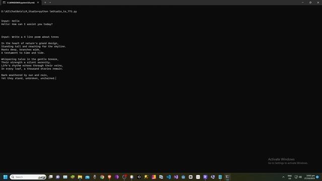 RealtimeTTS Uncensored Chat Assistant смотреть онлайн