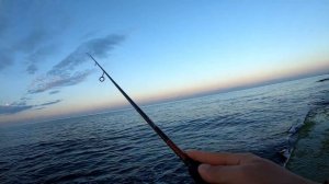 МИКРОДЖИГОВАЯ КЛАССИКА - Shimano Soare Game 709ULS