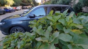 ЛУЧШАЯ ЦЕНА! Квартира 33 кв.м. в ЖК НОВАЯ ЗАРЯ! Недвижимость Сочи. Ремонт квартир в Сочи