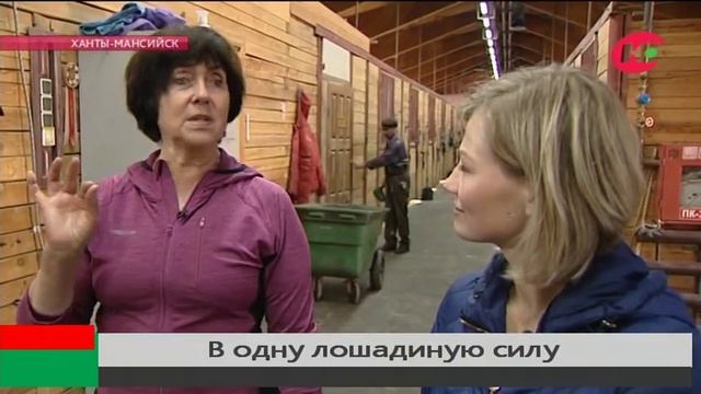 Почему югорских лошадей называют «мерседесами» и «запорожцами» смотреть онлайн