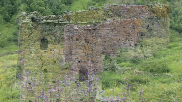 ИТУМ КАЛИ смотреть онлайн