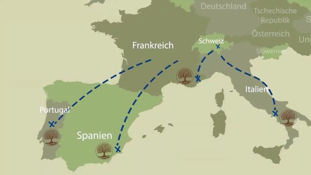 Пробковый пол с фотопечатью