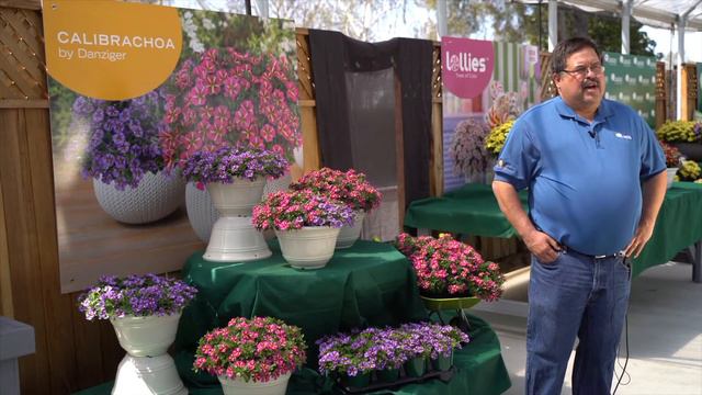 DANZIGER Team Choice NA - Headstart