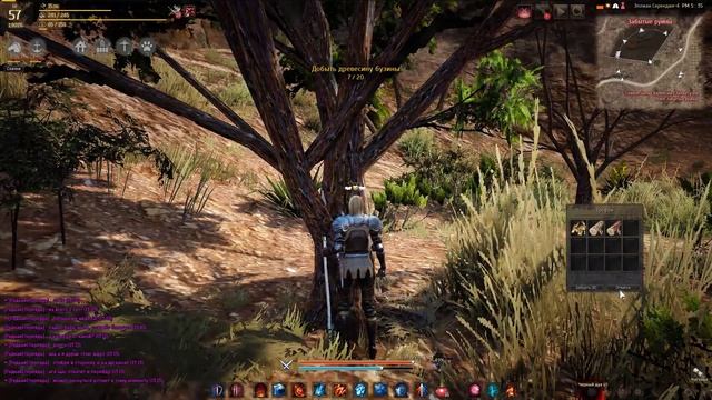 Где найти бузину в Black Desert смотреть онлайн