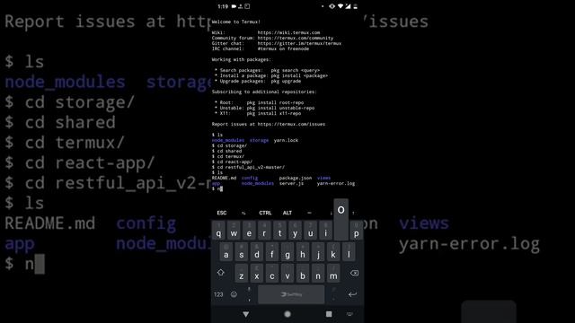 Testing your node app using tremux on your android device смотреть онлайн