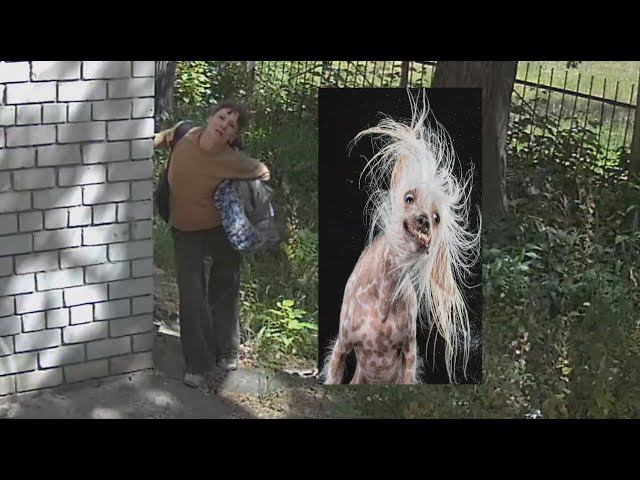 202306200922 поговорить приходила смотреть онлайн