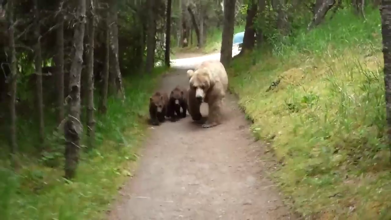 Мужик со стальными шарами смотреть онлайн