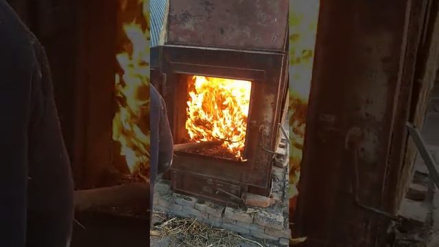 сушилка зерна смотреть онлайн