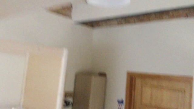 экскурсия по Гродно смотреть онлайн