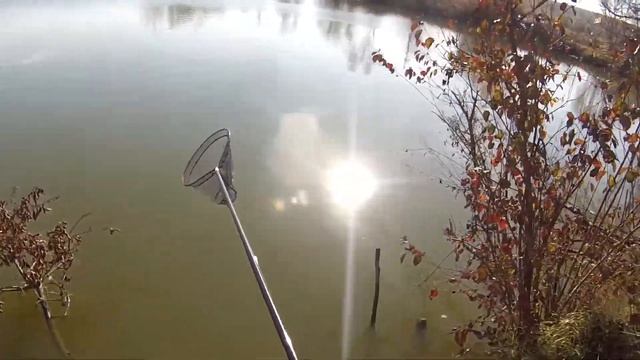 Ловля карпа по холодной воде. смотреть онлайн