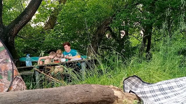 Кемпинг. Звуки природы. смотреть онлайн