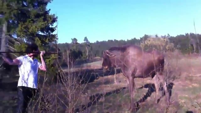 НА ОХОТЕ смотреть онлайн