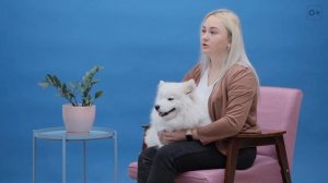 10 вопросов владельцу про самоеда. Расскажем все о собаке породы самоед.