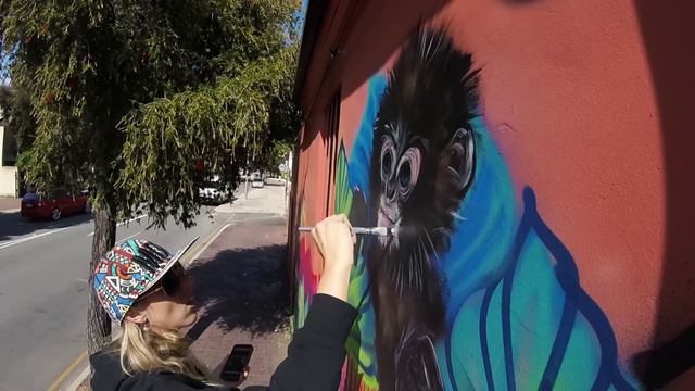 Colourful Kiwi artists street art mural collaboration at Santa Fe Restaurant, Subiaco смотреть онлайн