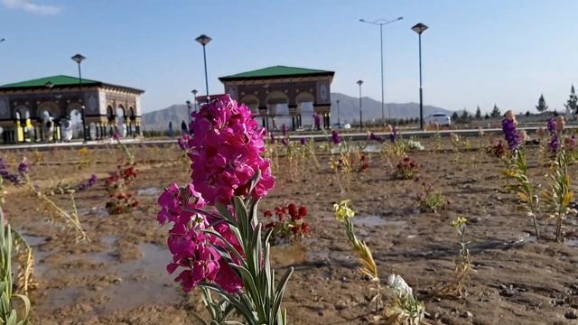 Unseen Kandahar City | Aino Mina Part 1 | Beauty of The City 2020 смотреть онлайн