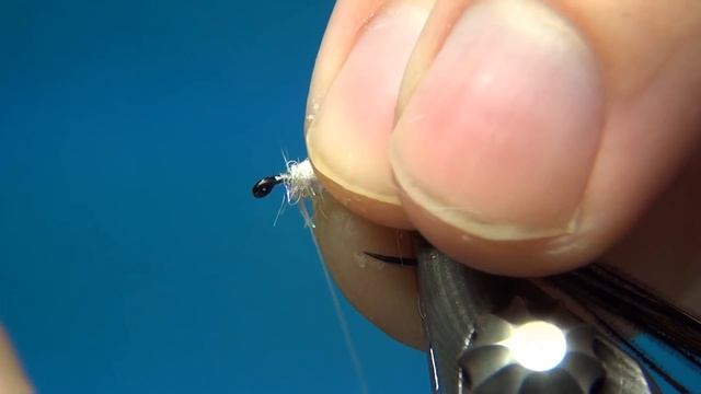 Fly Tying Corixa (Water Boatman) | Hackles & Wings