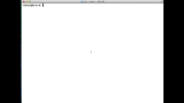 The More You Bro: Log Parsing Tips & Tricks смотреть онлайн