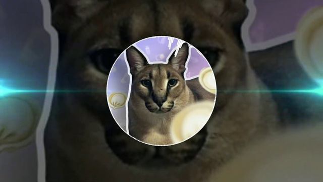 Песня хорошие пельмени слушать!|#floppa|#шлёпапельмень|#шлепа|#пельмени|#пельменирецепт| смотреть онлайн