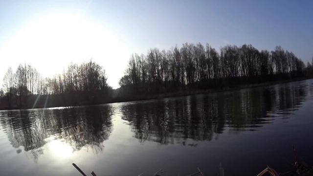 ЗЕЛЕНАЯ ПРИКОРМКА НА КАРАСЯ КОСИТ РЫБУ. Весенняя рыбалка на фидер. Открытие фидерного сезона 2021. смотреть онлайн