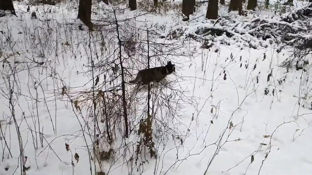 Мой новый друг смотреть онлайн