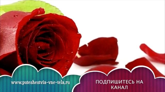 СОННИК - Розы смотреть онлайн