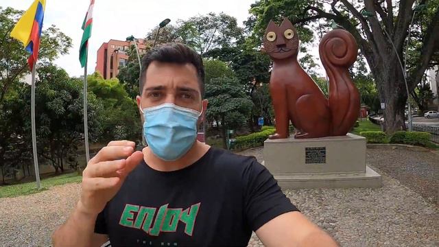 Why Are Cats So Important In Cali Colombia??