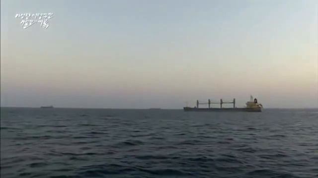 Fuerzas especiales de Korea - Los Seals coreanos смотреть онлайн