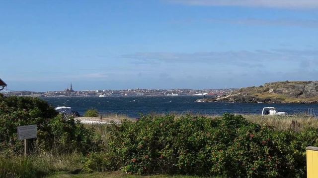 Martin Wassenius – Så skimrande var aldrig havet смотреть онлайн