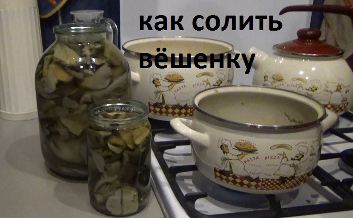 Как солить грибы вёшенку смотреть онлайн