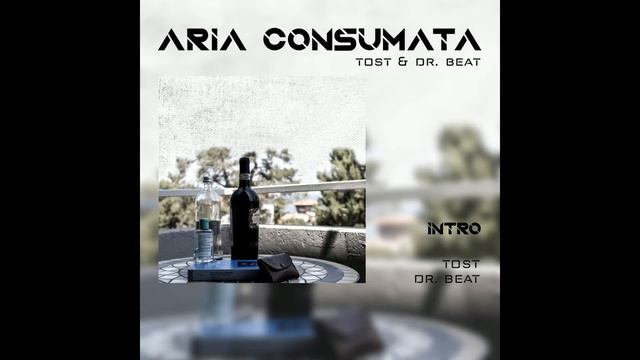 Intro - Tost (Prod. Dr. BeaT) смотреть онлайн