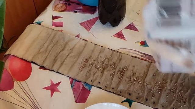 Я В НЕГО ВЛЮБИЛАСЬ! ЛУК ПОРЕЙ ПОСЕВ НА РАССАДУ! ОСОБЫЙ СПОСОБ! смотреть онлайн