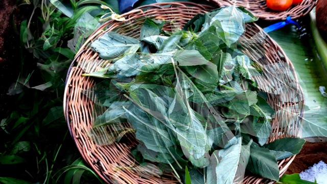 Picked and Cooked Some Wild Amarant "Uray o Kulitis"|Farmlife in the Philippines смотреть онлайн