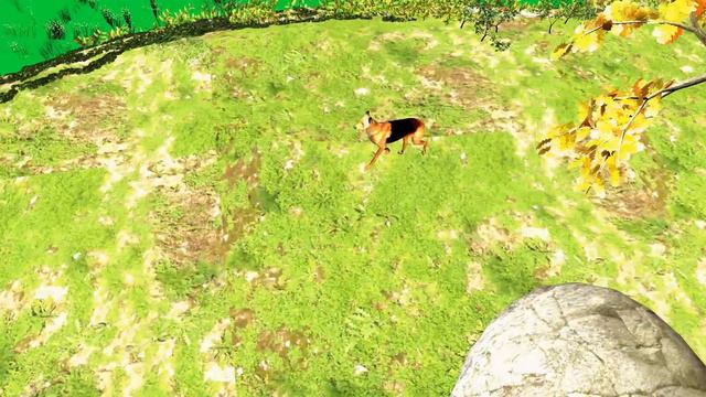 3d Dog Walk Moment in Forest смотреть онлайн