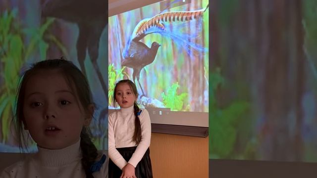 Австралийский лирохвост смотреть онлайн