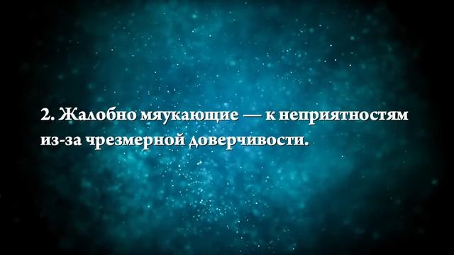 К чему снится больной котенок - Онлайн Сонник Эксперт смотреть онлайн