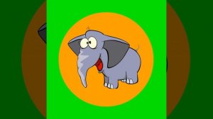 СУМАСШЕДШИЙ СЛОНИК ВЫТИРАЕТ ПОПУ ХОБОТОМ