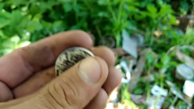 Шурф 2018. Немецкая помойка заставляет вырабатывать адреналин. Супер находки!!!